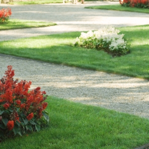 Landscaping, flower beds